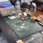 �i�J����