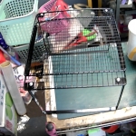 �i�J����