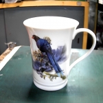 �i�J����