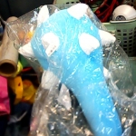 �i�J����