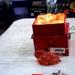 �i�J����