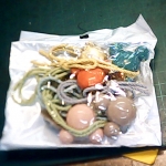 �i�J����