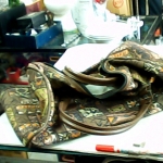 �i�J����