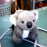 �i�J����