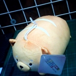 �i�J����