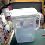 �i�J����