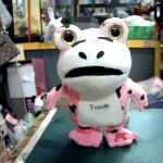 �i�J����