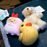 �i�J����