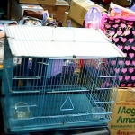 �i�J����