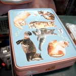 �i�J����