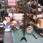 �i�J����