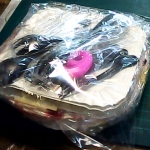 �i�J����