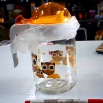 �i�J����