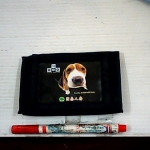 �i�J����