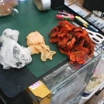 �i�J����