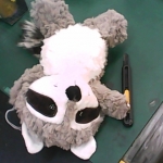 �i�J����