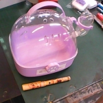 �i�J����