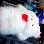 �i�J����