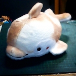 �i�J����