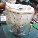 �i�J����