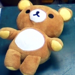 �i�J����