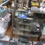 �i�J����