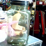 �i�J����