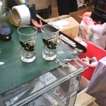 �i�J����