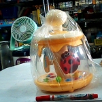 �i�J����