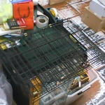 �i�J����