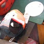 �i�J����