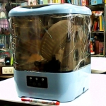 �i�J����