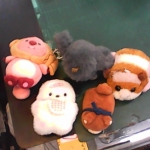 �i�J����