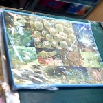 �i�J����