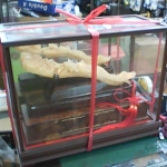 �i�J����