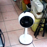 �i�J����