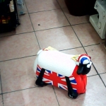 �i�J����