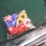 �i�J����