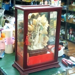 �i�J����